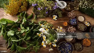 工作累成'狗'？几招南京上班族必备的自我按摩技巧，让你满血复活！