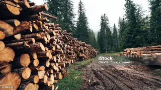 告别亚健康：南京桑拿SPA的隐藏益处，让你由内而外焕发新生！ 封面