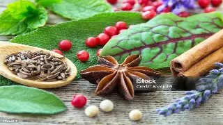 不止是按摩！揭秘南京XX会所的3大隐藏服务，让你彻底告别疲惫！ 封面