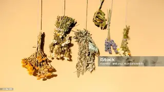 告别按摩小白！南京养生达人亲授：零基础入门按摩手法全攻略